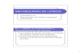 CAP 21 Metabolismo de Lipidos (2)