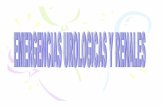 6 1 Emergencias Urologicas y Renales Dr Esteban Salazar