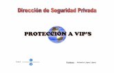 proteccion de VIPs