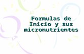 Formulas de Inicio y Sus Micronutrientes