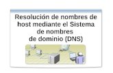 30.- Resolucion de Nombres de Host Mediante DNS