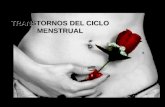 Trans Tor Nos Del Ciclo Menstrual