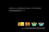 Celula, Estructura y Funcion, TEXTO