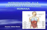 4 Nov. 2010. General Ida Des de Anatomia y Fisiologia