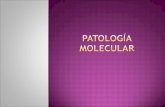 Patología molecular...drepanocitosis o anemia drepanocítica