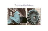 Turbinas hidr+íulicas