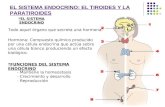 tiroides y paratiroides(3)