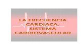 Frecuencia Cardiaca y Sistema Cardiovascular do
