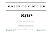 Base de Datos II_practicas-VFP