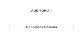 ADO249 - AUDITORIA I - Desarrollo Teorico Auditoria 1