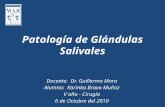 Patología de Glandulas Salivales