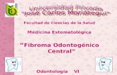 Fibroma Odontogénico Central