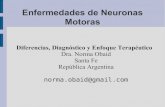NEURONA MOTORA1