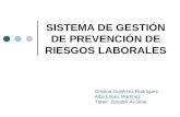 Sistema de Gestión de Prevención de Riesgos Laborales