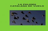 ESTANDAR DE LA PALOMA CATALANA DE VUELO on line