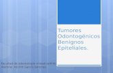 Tumores Odontog©nicos Benignos epiteliales