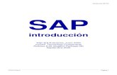 Usuario SAP