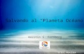 Planeta Océano, experiencia ganadora del Premio Nacional de Ciudadanía Ambiental 2010