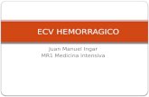 EVC Hemorragica
