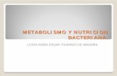 metabolismo bacterias