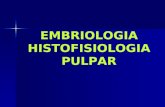 EMBRIOLOGIA E HISTOFISIOLOGIA PULPAR DT