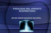 Fisiologia del Aparato Respiratorio