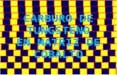 CARBURO DE TUNGSTENO (p´resentación)