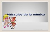 14.) Músculos de la Mímica y Músculos Masticadores - Prof. Magalis Pérez