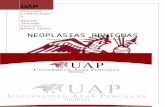 Informe 6 - Neoplasias Benignas