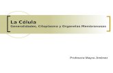 2.) Morfología Celular - Prof. Mayra Jiménez