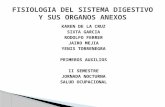 FISIOLOGIA DEL APARATO DIGESTIVO Y SUS ORGANOS ANEXOS