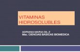 Vit Hidrosolubles Medicina 2011 PDF