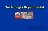 Toxicologia Experimental