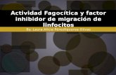 Actividad Fagocítica y factor inhibidor de migración de