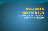 02.- Anatomia Obstetric A - Dr Pinto