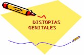 DISTOPIAS GENITALES