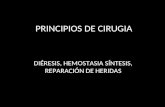 PRINCIPIOS DE CIRUGIA