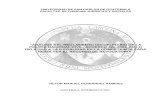 Analisis Regimen disciplinario PNC (tésis) 2007