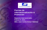 Formas de Internacionalización & Promoción