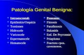Patologia Genital Benigna