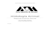 2do Examen de Histo Animal