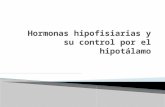 Hormonas Hipofisiarias y Su Control Por El Hipotlamo