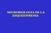 CLASE 26 Fisiopatología-Esquizofrenia