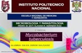 Mycobacterium Tuberculosis PRESENTACION