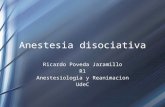 Anestesia disociativa