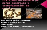 Lixiviado microbiano de minas minerales y transformación de metales