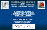 Ejemplo Historia Natural FPC