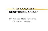 Infecciones Genitourinaria