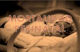 MORTALIDAD PERINATAL- CONCEPTOS Y ESTADÍSTICA MUNDIAL