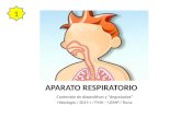 Histología - Aparato respiratorio